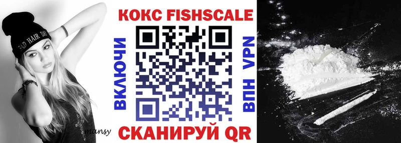 КОКАИН FishScale  купить наркотики сайты  Мытищи 