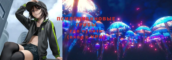 а пвп мука Алексеевка