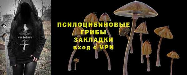 гидра Алексин