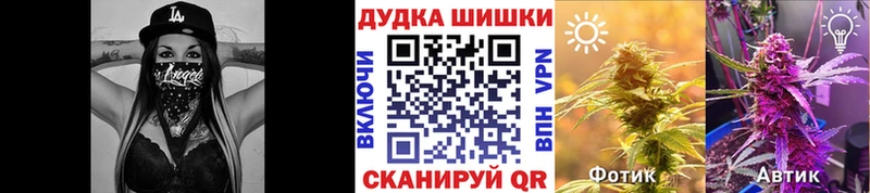 Бошки Шишки семена  где купить наркоту  Мытищи 